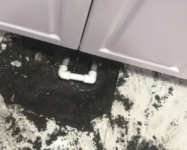 随州查漏水哪家好